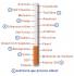 Efectos del tabaco